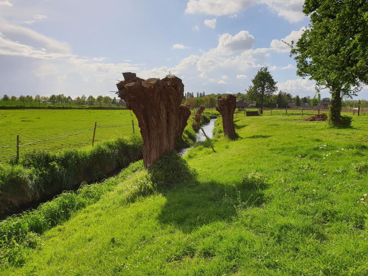 Meschermolen 7 Withuis Exterior photo