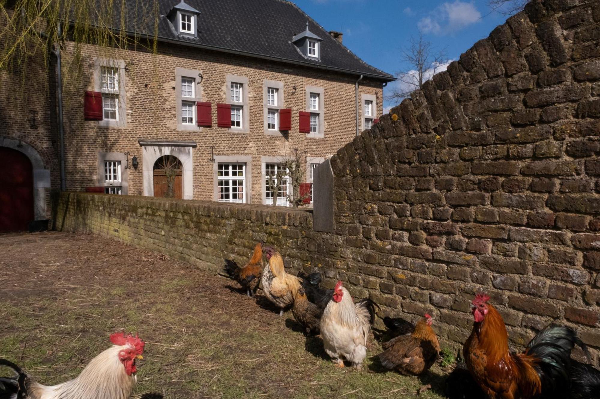 Meschermolen 7 Withuis Exterior photo